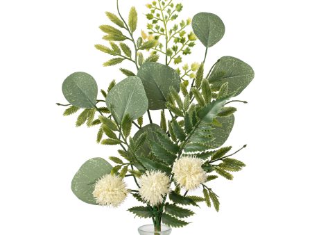 18  Fern, Eucalyptus, Pom Pom Pick: Cream Online