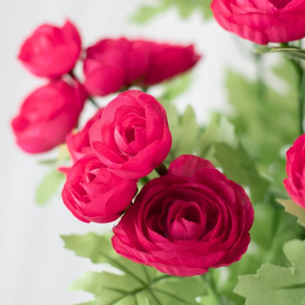 17  Mini Ranunculus Bush: Fuchsia Pink Online now