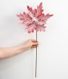 22  Frosted Poinsettia Stem: Red & White Supply