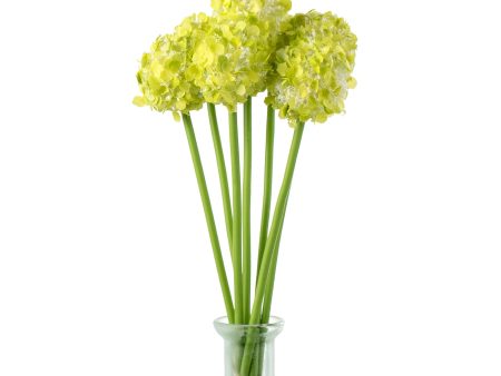 11  Flower Ball Stem Bundle: Light Green Online Hot Sale