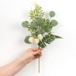 18  Fern, Eucalyptus, Pom Pom Pick: Cream Online