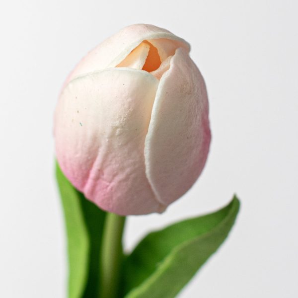 15  Foamy Tulip Bud Stem: Light Pink For Sale