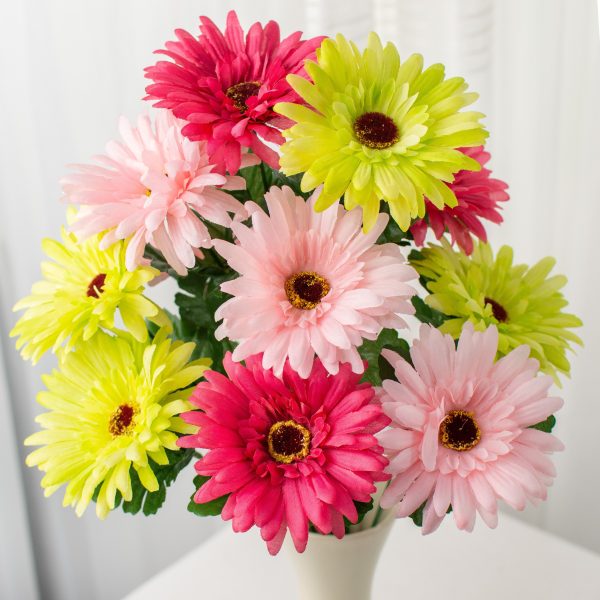 18  Gerbera Daisy Bush: Hot Pink & Lime Fashion