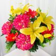 21  Tiger Lily & Mum Bush: Fuchsia, Yellow, Coral Online Hot Sale