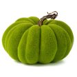 7  Flocked Pumpkin: Lime Hot on Sale