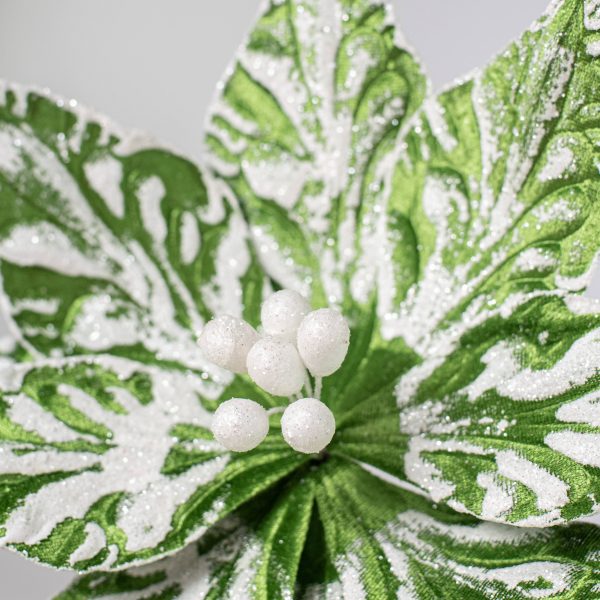 22  Poinsettia Stem: Green & White Sale