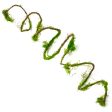 79  Moss Vine Garland Streamer Fashion