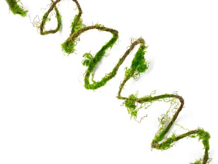 79  Moss Vine Garland Streamer Fashion