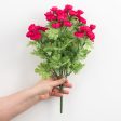 17  Mini Ranunculus Bush: Fuchsia Pink Online now