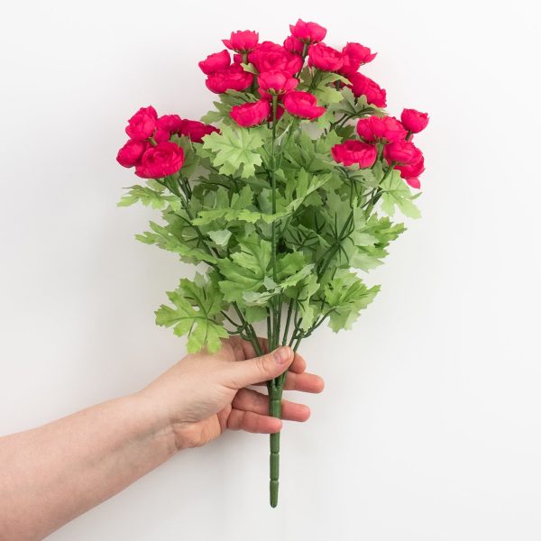 17  Mini Ranunculus Bush: Fuchsia Pink Online now