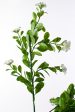 17  Small Flower Filler Bush: White Online now