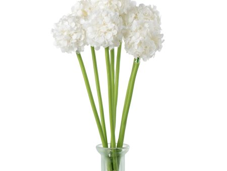 11  Flower Ball Stem Bundle: White Cream Supply