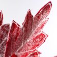 22  Frosted Poinsettia Stem: Red & White Supply