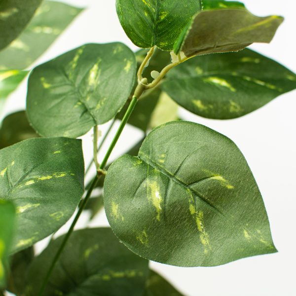 16  Pothos Leaves Bush Supply