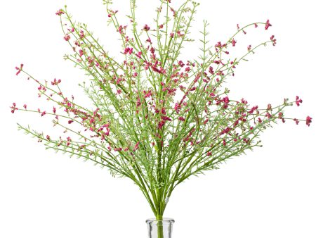 22  Filler Bush: Pink Online now