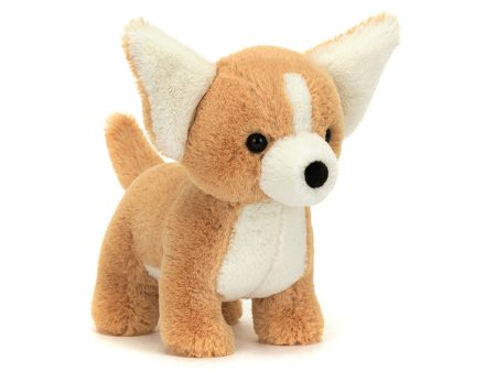 Isobel Chihuahua on Sale